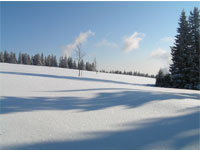 winter_scene_2.jpg