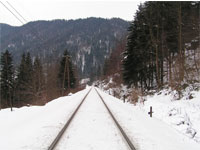 winter_scene_6.jpg